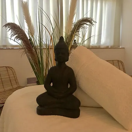 Le Windsor, Jungle Art 4* Nice