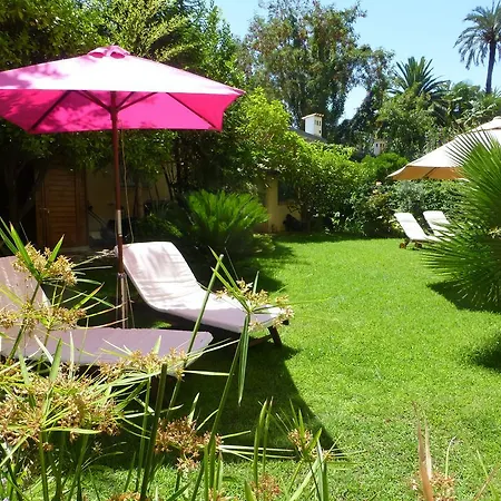 Un Jardin A La Plage Nice