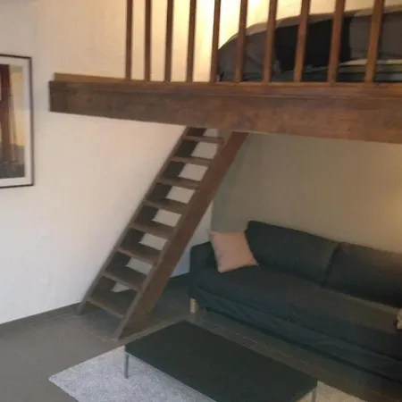 Apartment Vieux *