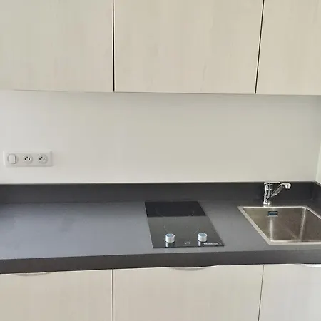 Apartment Mossa Cote Cour *