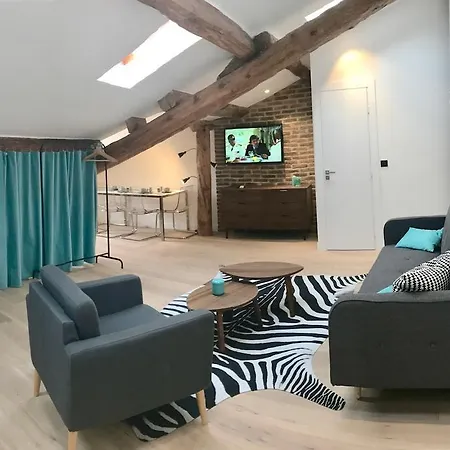 Loft Massena Apartment Nice