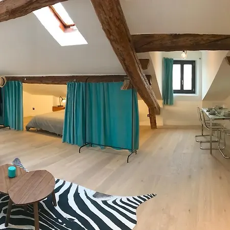 Loft Massena Apartment Nice