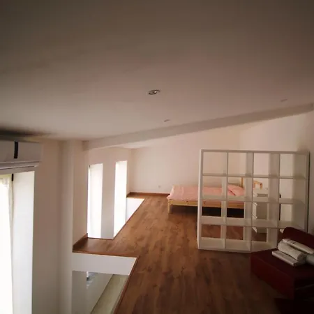 Duplex : Zone Pietonne De * Nice