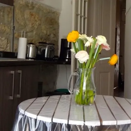 Appartement Au Centre De Nice