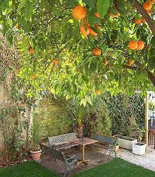Garden Hotel
