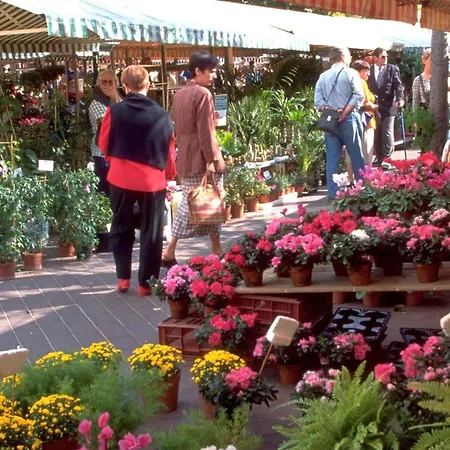 Hotel Mercure Marché Aux Fleurs 4*