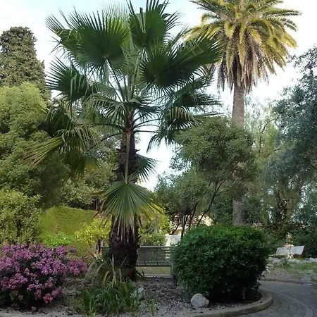 Appartement Les Palmiers