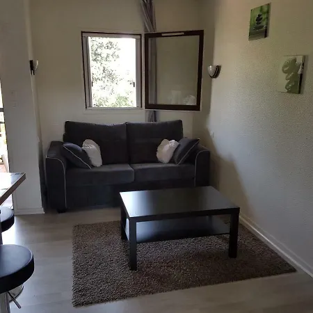 Apartment Les Palmiers A 700m De La Nice