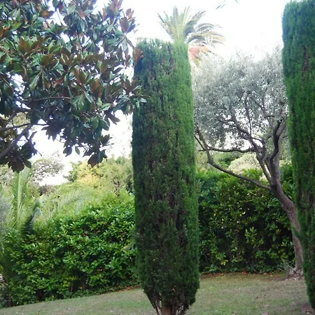 Les Palmiers A 700m De La Apartment