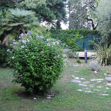 Les Palmiers à 700m De La *