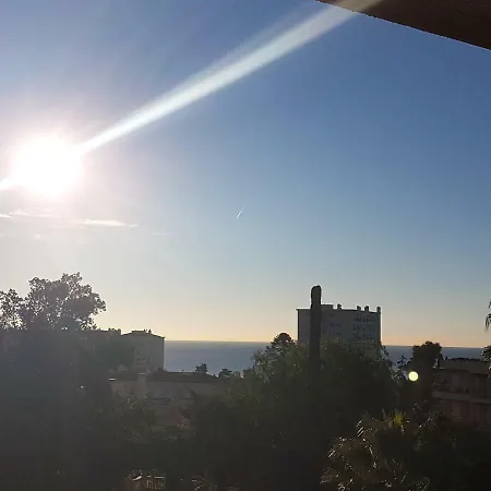 Les Palmiers A 700m De La Apartment