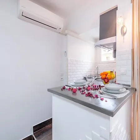 Appartement Beau A 50m De La Nice