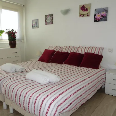 9 Avenue De Carras Appartement *