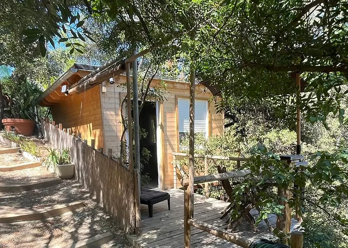 Chalet Dans Les Arbres