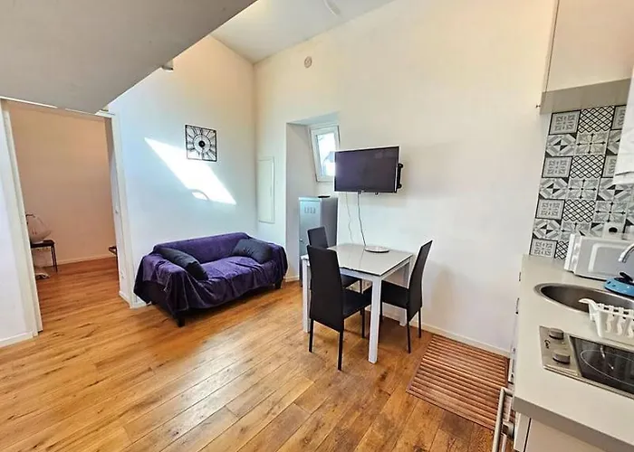 Appartement T2 Coconing, Wifi, Internet, Clim, 300M Plage