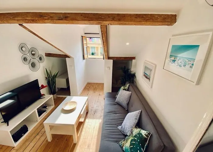 Guisol 17 Attic Cocon Port De Nice