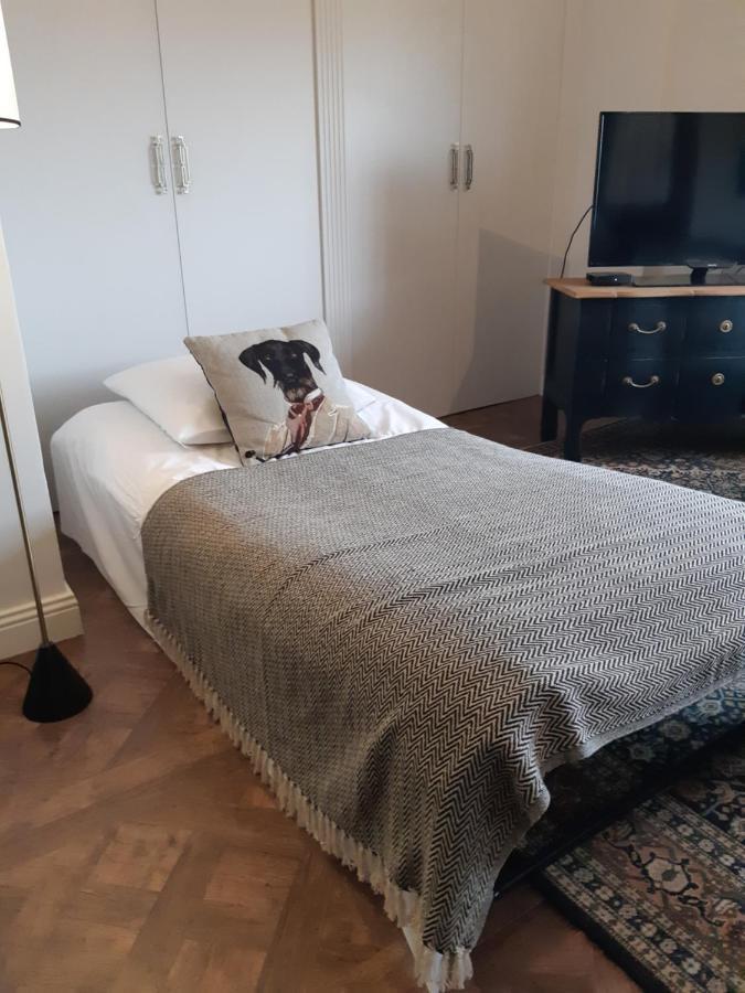 Cocoon Loft - Magnifique Loft Sous Toit, Refait A Neuf, Vues Splendides, Clim, Wifi Apartment *