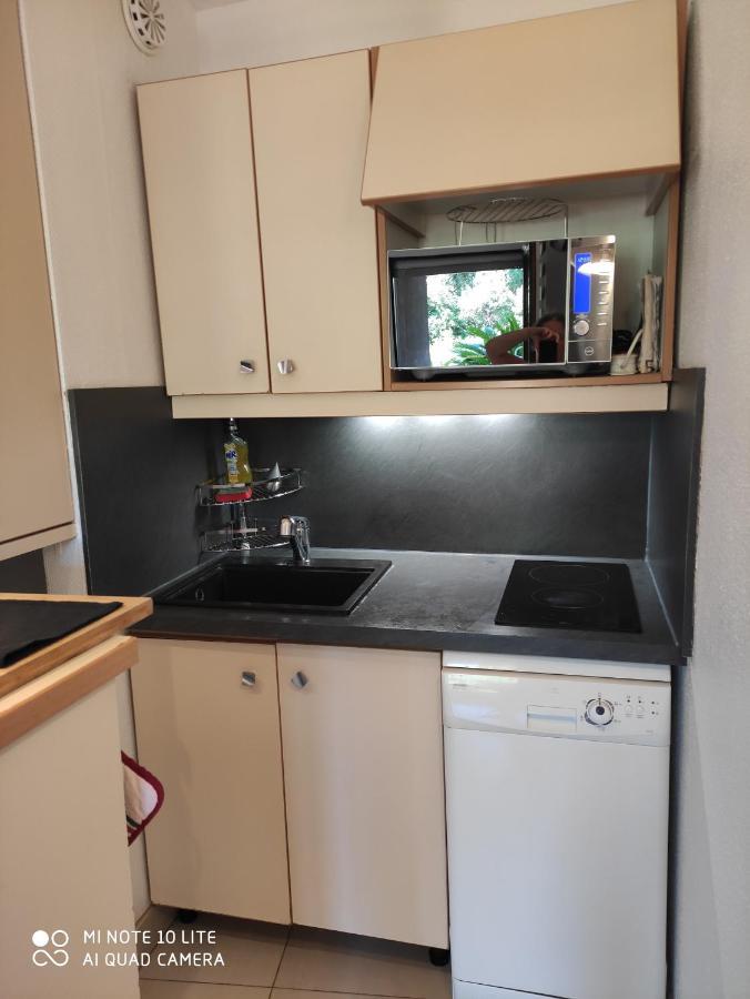 Les Palmiers Apartment