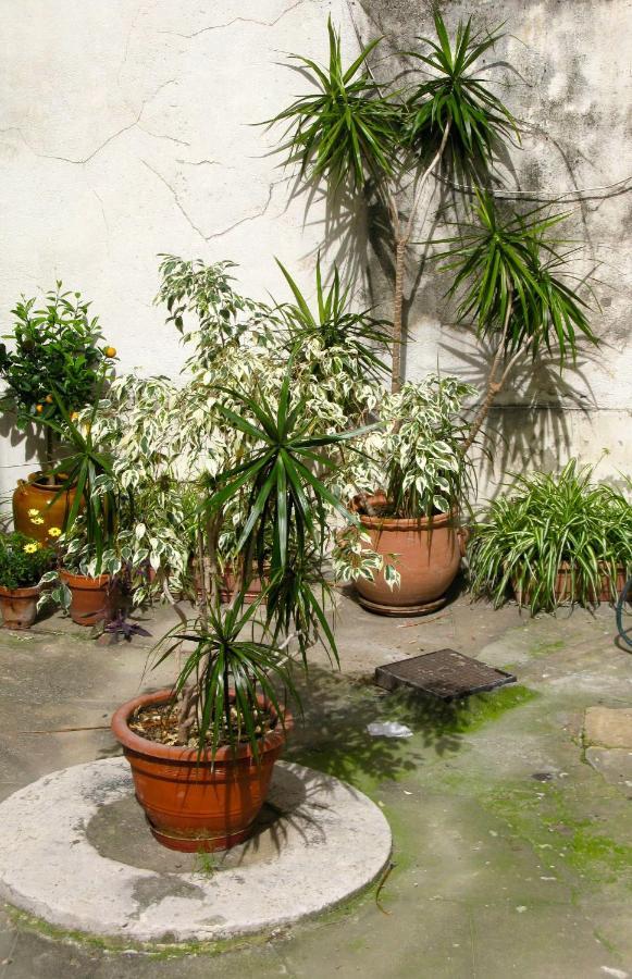 Apartamento Place Wilson