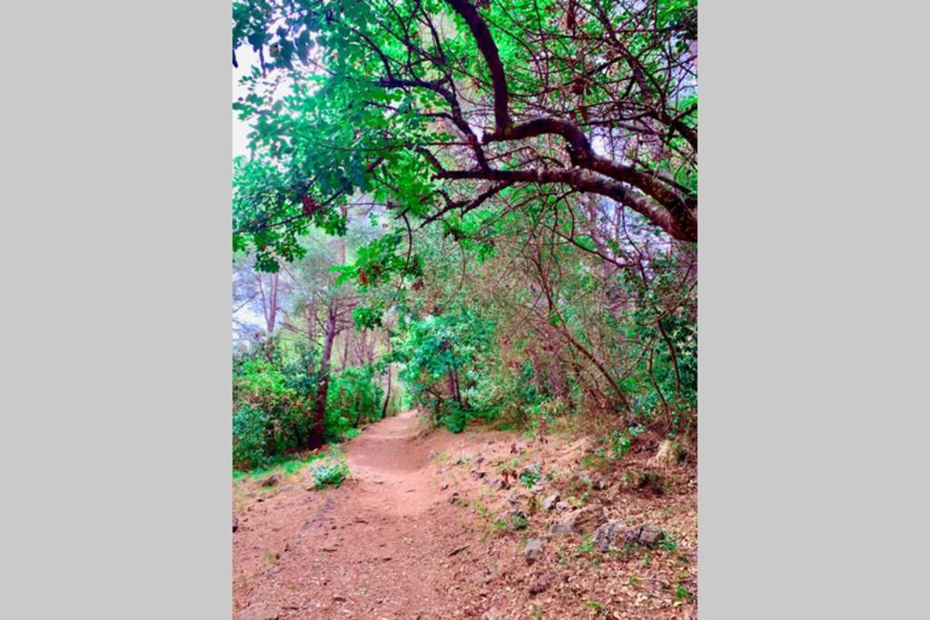 Apartment Studio On The Attic 3min From The Sea & Main Street Nice