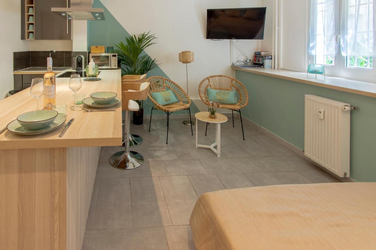 Climatise A 50m Des Plages Nice