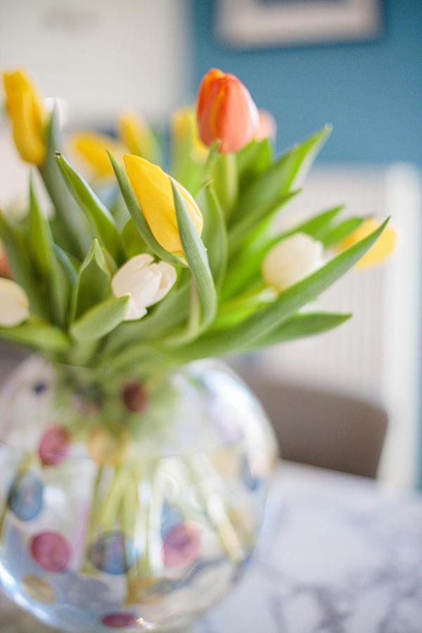 La Terrasse Du Port Ap4212