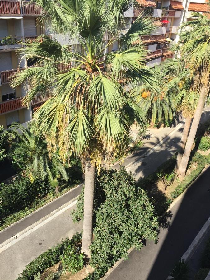A 2 Pas De La Promenade Des Apartment