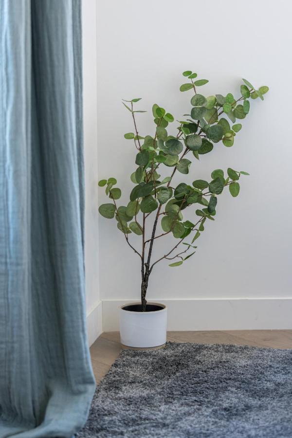 2 Bavastro - Beau 2 Pieces Lumineux Et Cosy - Climatise Apartment