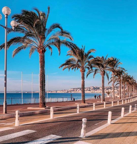 Terrasse Vue A 50 M Parking Apartment *