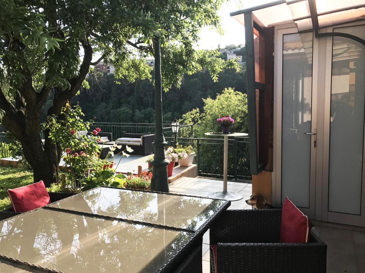 Studio Cimiez Piscine Et Jardin