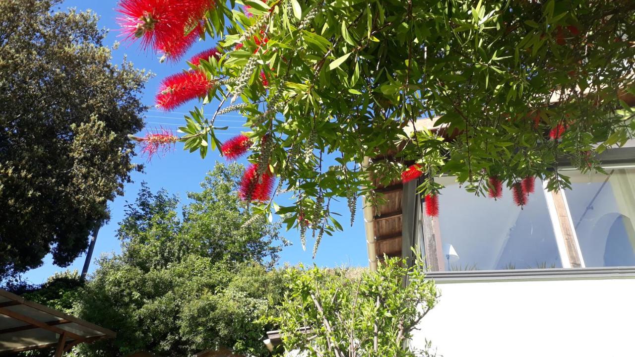 Maison Mitoyenne 68m², 2 Pieces + Veranda, Jardin 100m² Avec Pergola, Vue Casa de férias