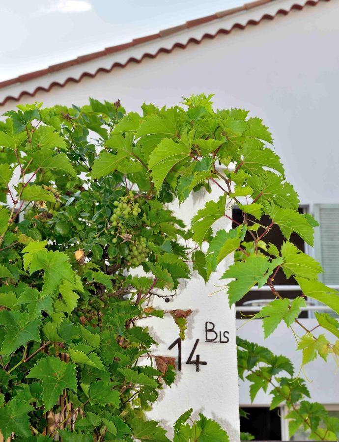 Villa Dana Paradise House Nice