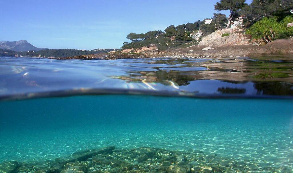 Bed & Breakfast Les Pieds Dans L'eau Nice