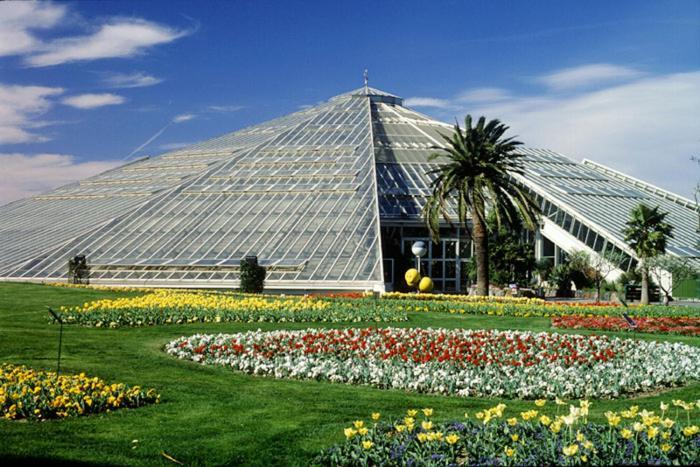 Homestay Promenade Des Anglais