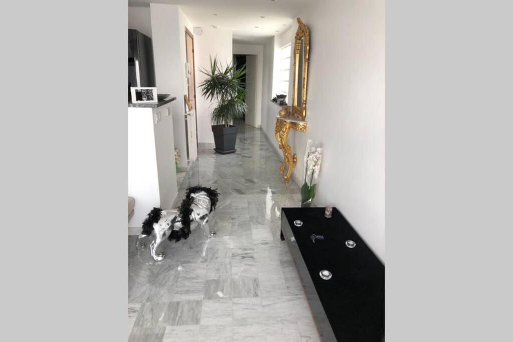 Ideal Couple Apartment