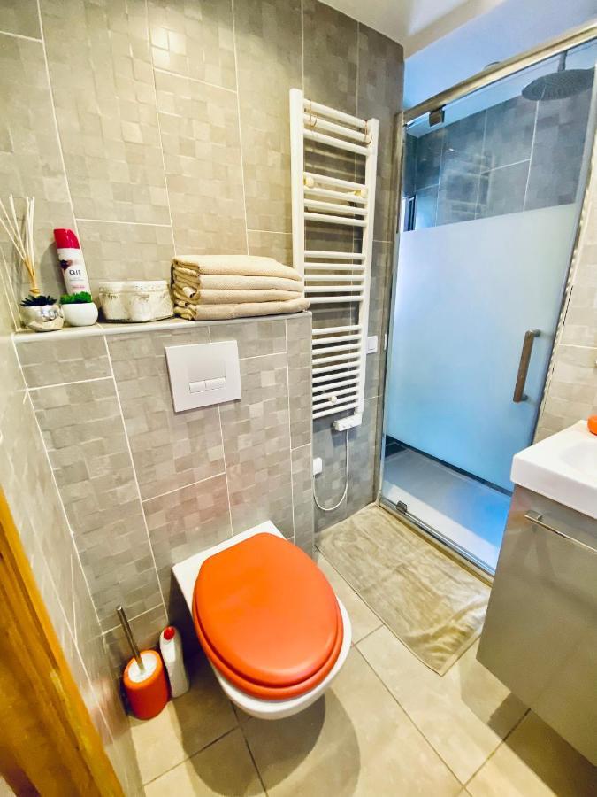 Modern Mansard Vieux-nice Apartment Nice