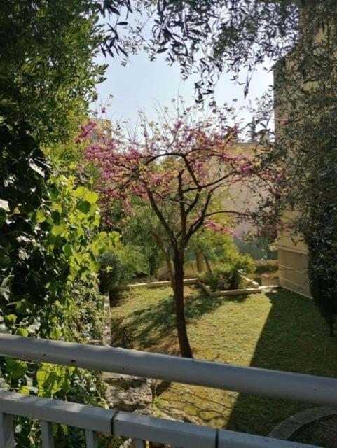Apartment Villa Soraya , Quiet Location With Big Garden Near Beach And Old Town Of Nice Nice