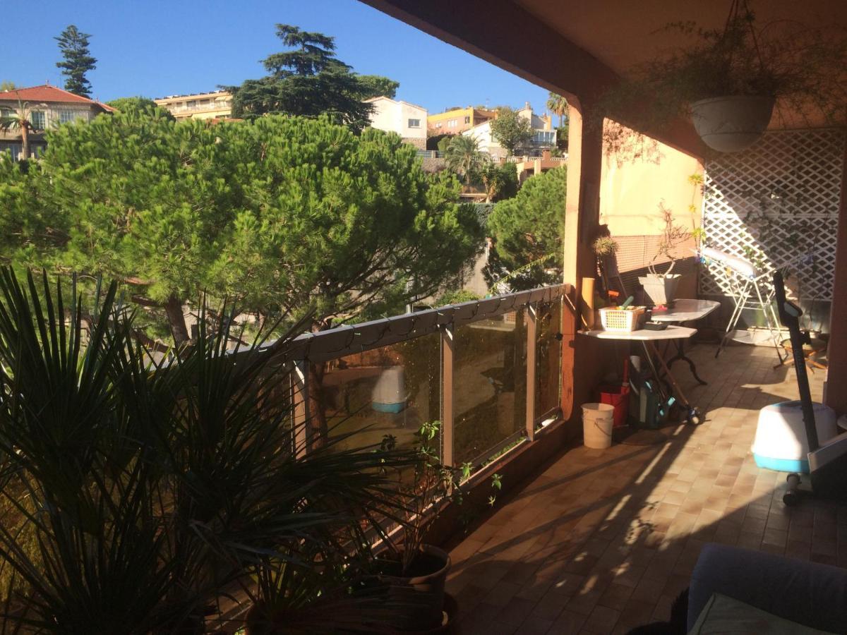 Azurelle