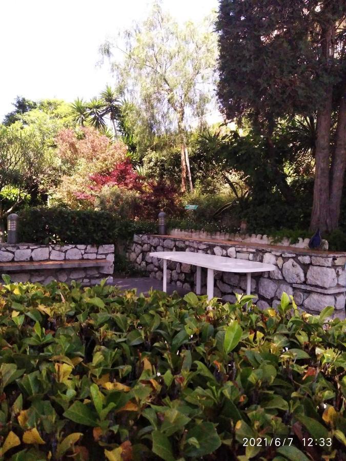 Nice- Gairaut - Jardin Prive- Grand F1 Lumineux-piscine Collective Apartment *