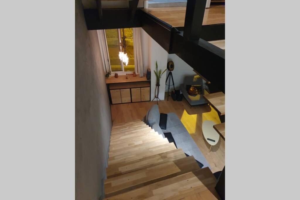 Loft De Type Industriel Et Spacieux Apartment Nice