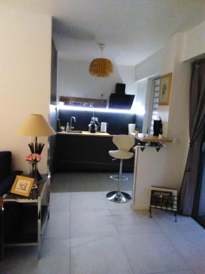 Nice- Gairaut - Jardin Prive- Grand F1 Lumineux-piscine Collective Apartment Nice