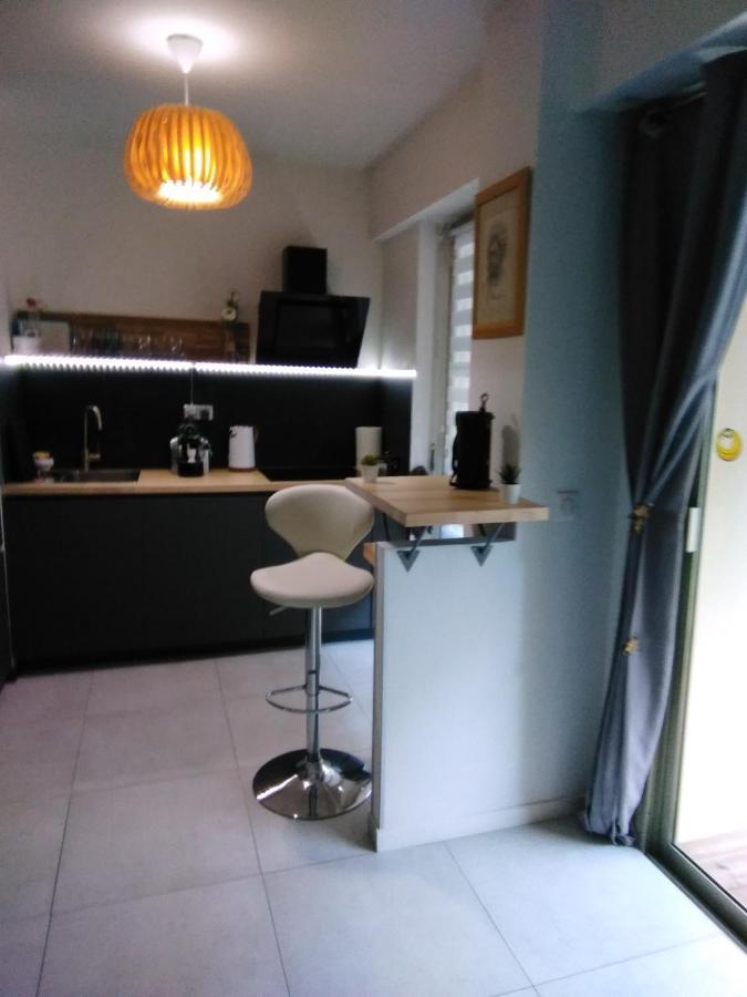 Nice- Gairaut - Jardin Prive- Grand F1 Lumineux-piscine Collective *