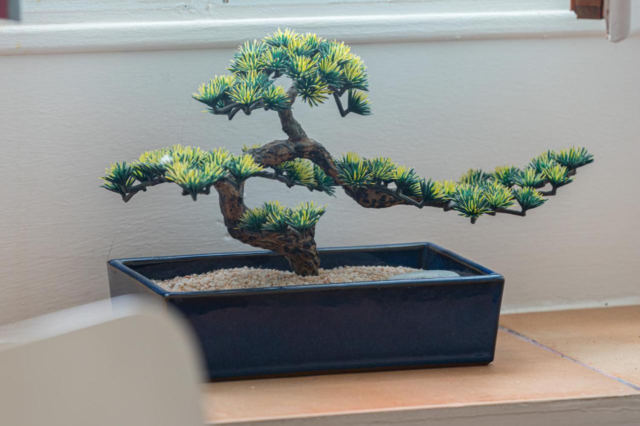 8 Condamine - Stylish In Old Town - 2 Pieces - 300m De La