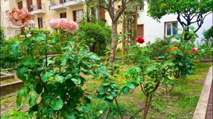 Apartment L'avenir Gorbella *