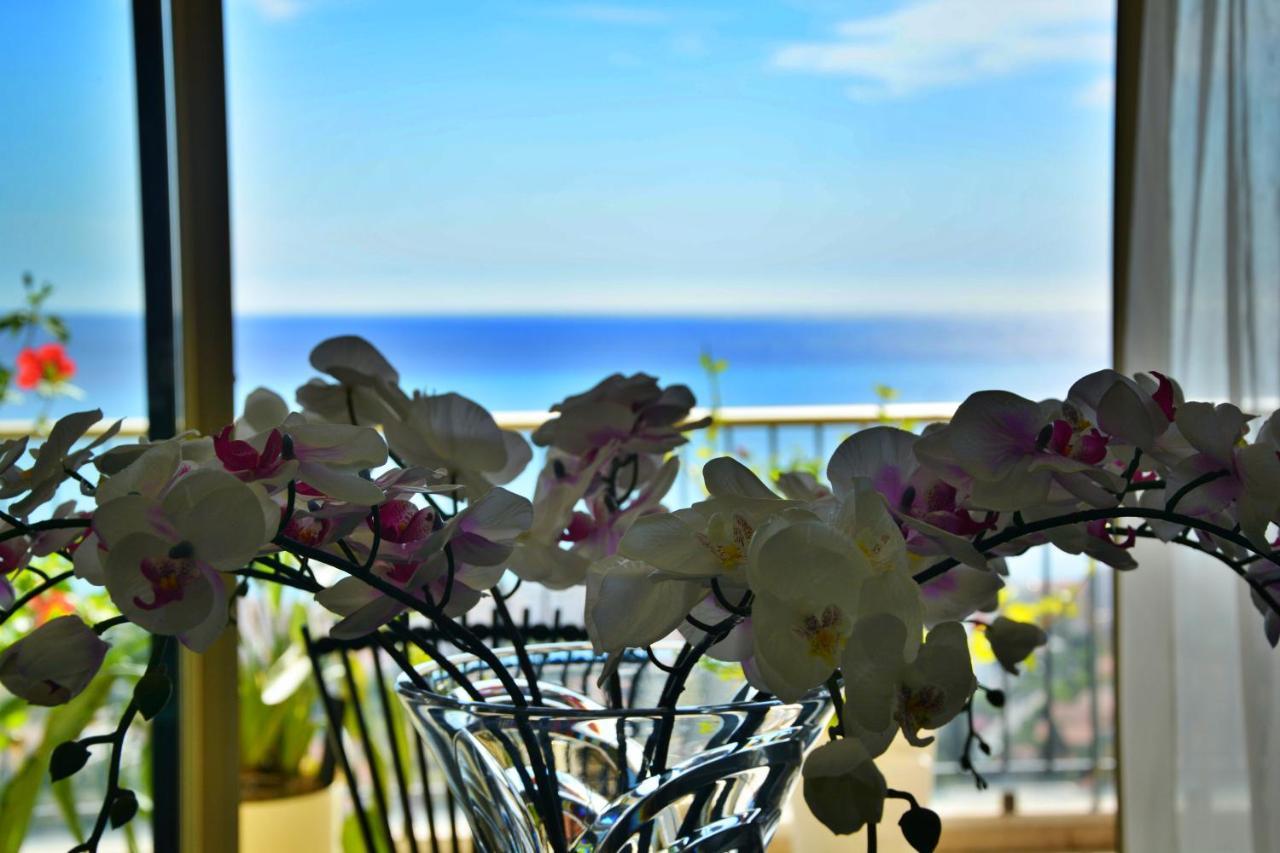 Apartment Sirius View