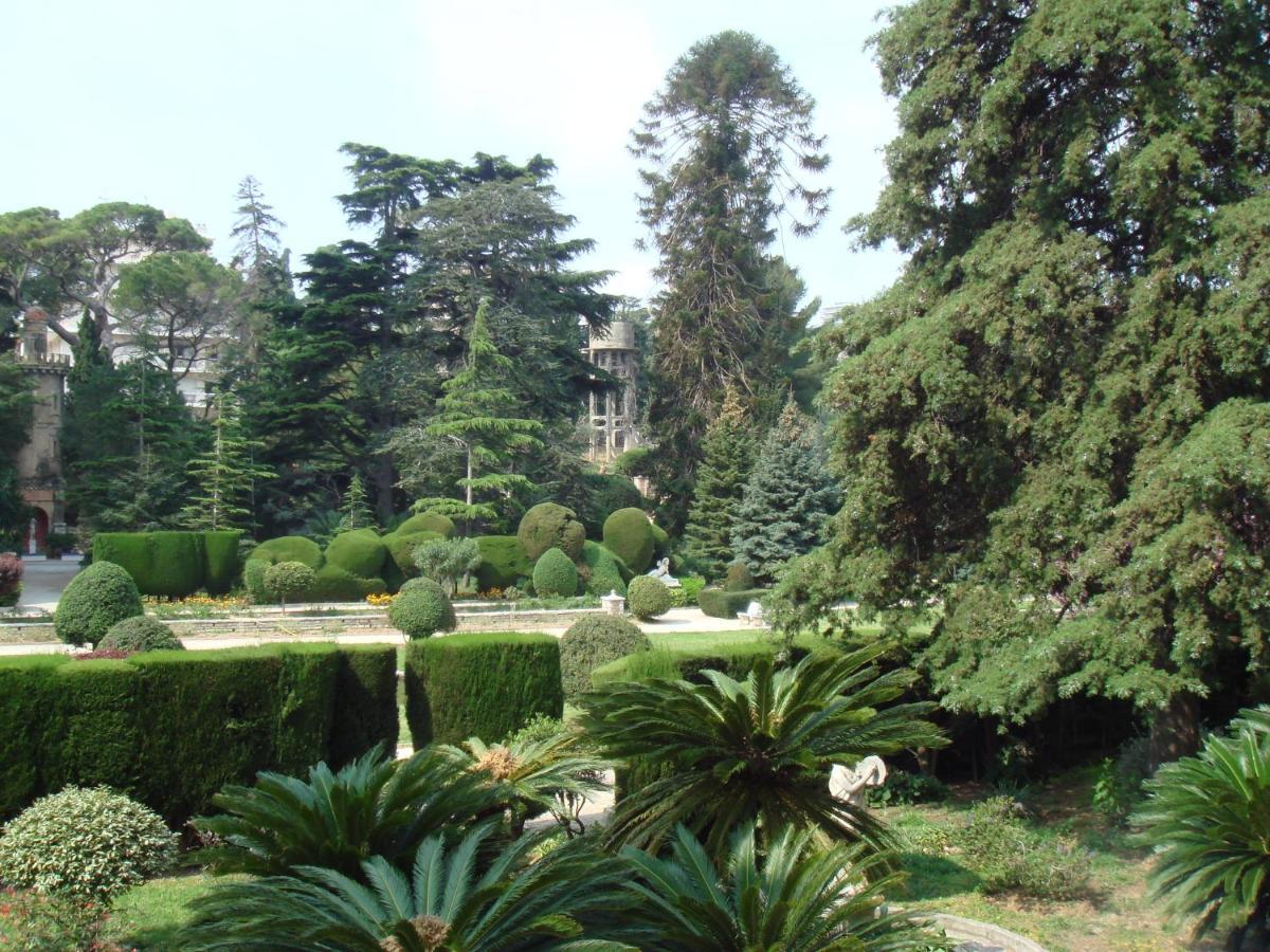 Les Grands Cedres C1 7 Avenue De Fabron * Nice