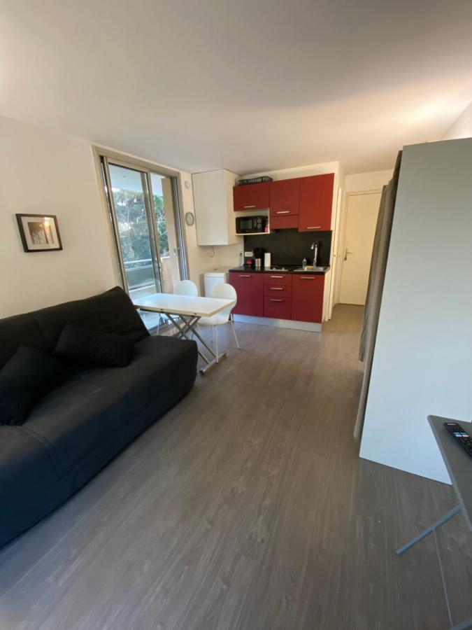 Apartment Studio Avec Terrasse, Vue Sur Jardin