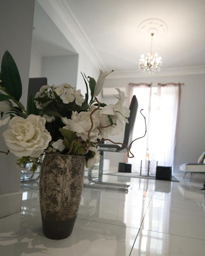 Designer Flat * Nice