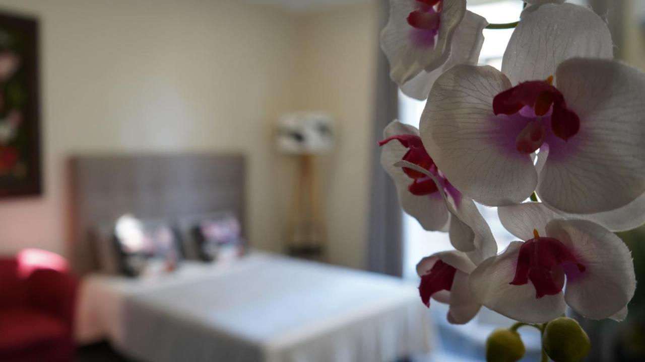 Apartment Cozy With A Sea View *