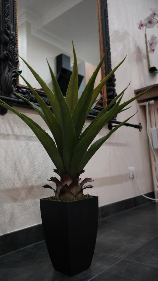 Cozy With A Sea View Apartment *